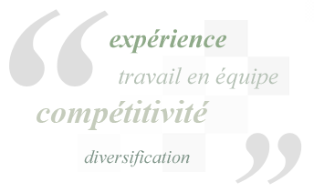 Experiencia, trabajo en equipo, competitividad, diversificación