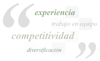 Experiencia, trabajo en equipo, competitividad, diversificación